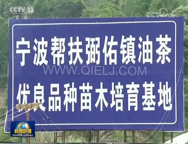 新聞聯(lián)播決戰(zhàn)決勝脫貧攻堅(jiān)之油茶樹串起的產(chǎn)業(yè)鏈(圖2) 新聞聯(lián)播決戰(zhàn)決勝脫貧攻堅(jiān)之油茶樹串起的產(chǎn)業(yè)鏈(圖2)