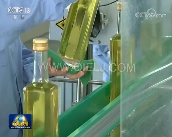 新聞聯(lián)播決戰(zhàn)決勝脫貧攻堅(jiān)之油茶樹串起的產(chǎn)業(yè)鏈(圖3) 新聞聯(lián)播決戰(zhàn)決勝脫貧攻堅(jiān)之油茶樹串起的產(chǎn)業(yè)鏈(圖3)