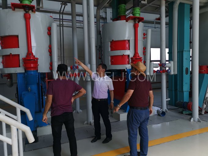 怎樣健康的選擇食用油？企鵝糧油機械為您簡單講述(圖2)